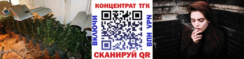 ТГК гашишное масло  Купить  Дмитриев 