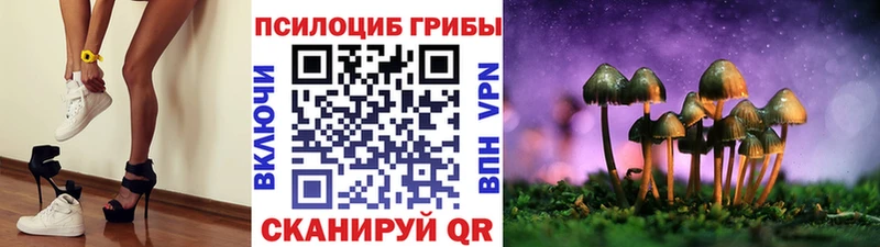 Купить закладки Дмитриев Псилоцибиновые грибы Psilocybine cubensis