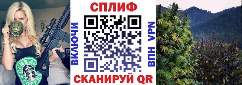 Марихуана Bruce Banner  Купить где  Дмитриев 